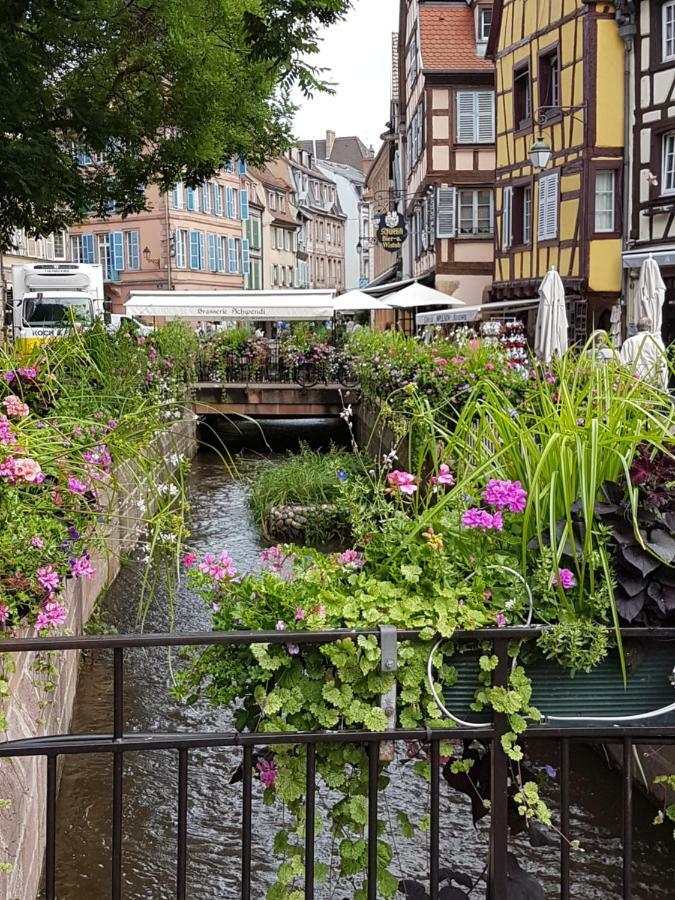 Les Colombages Leilighet Colmar Eksteriør bilde