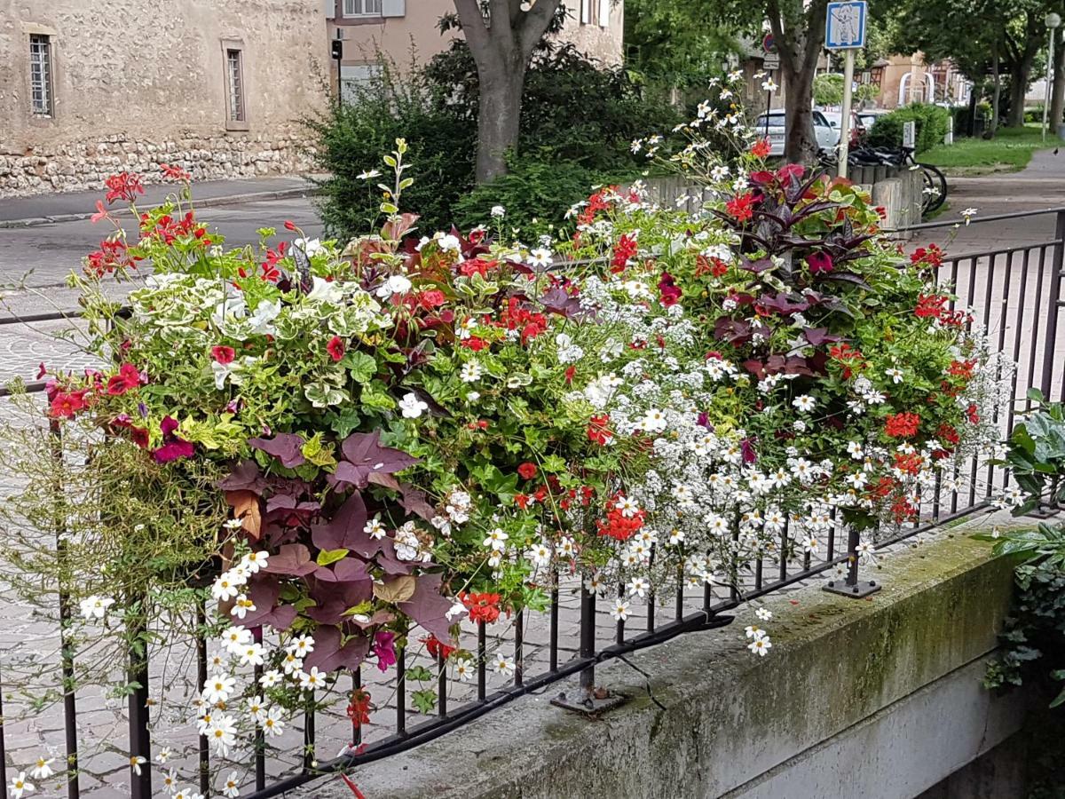 Les Colombages Leilighet Colmar Eksteriør bilde